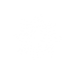 Power Hydro Electric - TIW Steel Platework