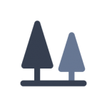 TIW Steel Platework - Pulp/Paper & Forestry