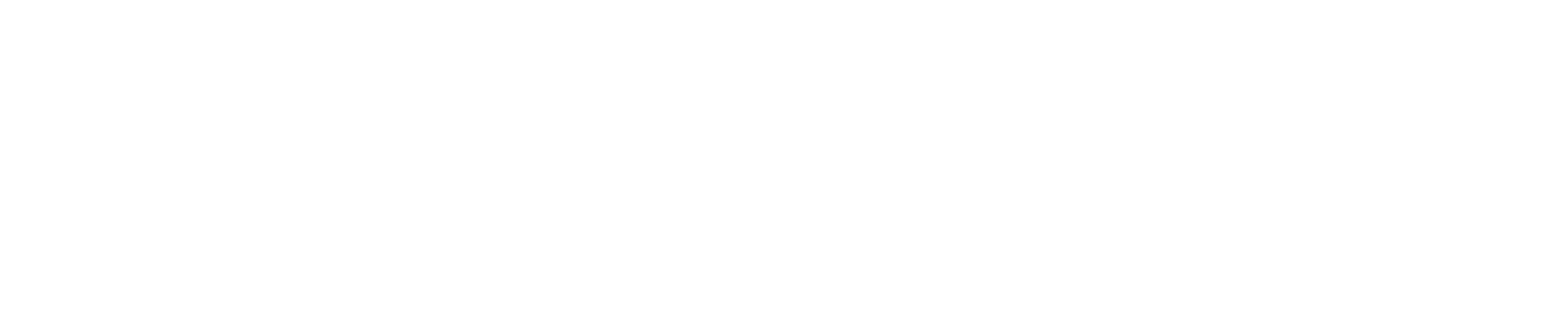 TIW Steel Platework Logo White