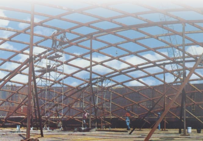 TIW Designed Dome Grid Roof