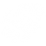 Culture Core Value Icon