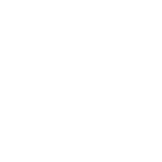 Safety Core Value Icon
