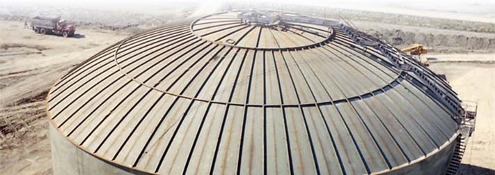 Self Supporting Stiffened Umbrella Roof