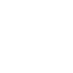 Quality Core Value Icon